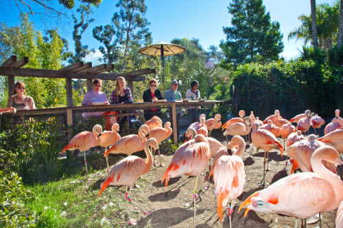 CLL Students at the Zoo