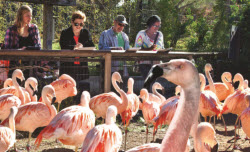 CLL students at the Santa Barbara Zoo